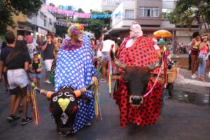 Boi da Manta – 2025